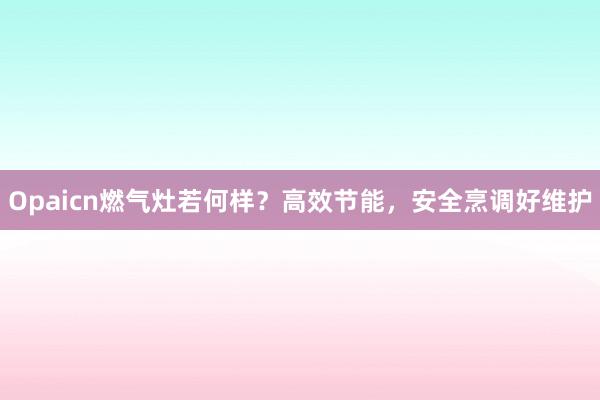 Opaicn燃气灶若何样？高效节能，安全烹调好维护
